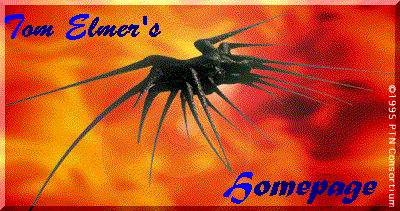 Tom Elmer's Homepage