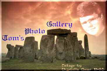 Tom's Photo Gallery