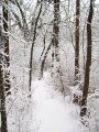 2007-02-26@14-50-03 Snowy trail.jpg