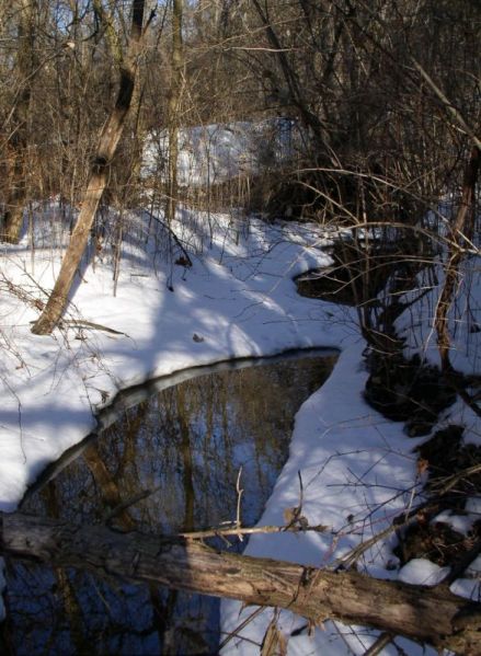 File:2007-02-22@14-54-13 Thawing stream.jpg
