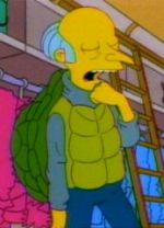 Turtles-Simpsons-06x20-Turtle's Necks.jpg