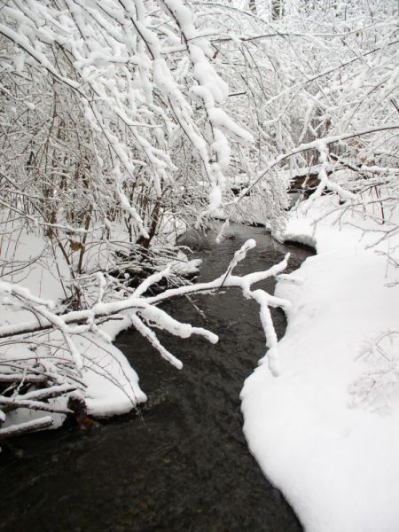 File:2007-02-26@14-51-49 Snowy stream.jpg