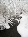 2007-02-26@14-51-49 Snowy stream.jpg